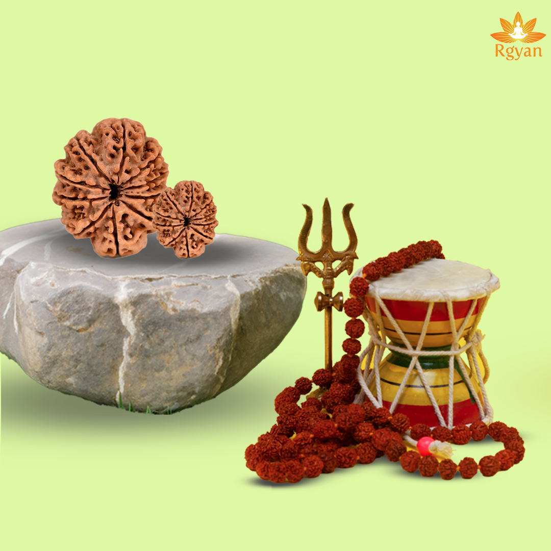 10 Faced Nepali Rudraksha - 10 Mukhi