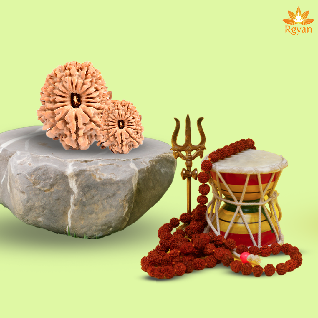 15 Faced Nepali Rudraksha - 15 Mukhi