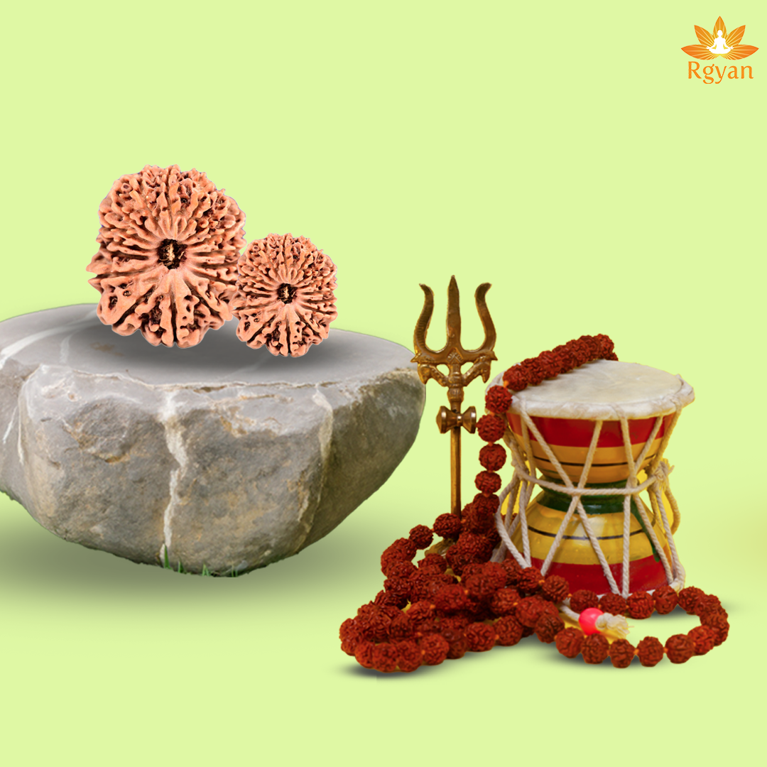 16 Faced Nepali Rudraksha - 16 Mukhi