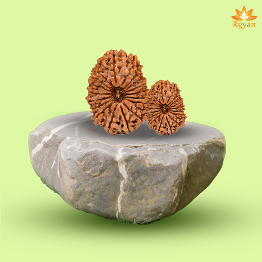 18 Faced Nepali Rudraksha - 18 Mukhi