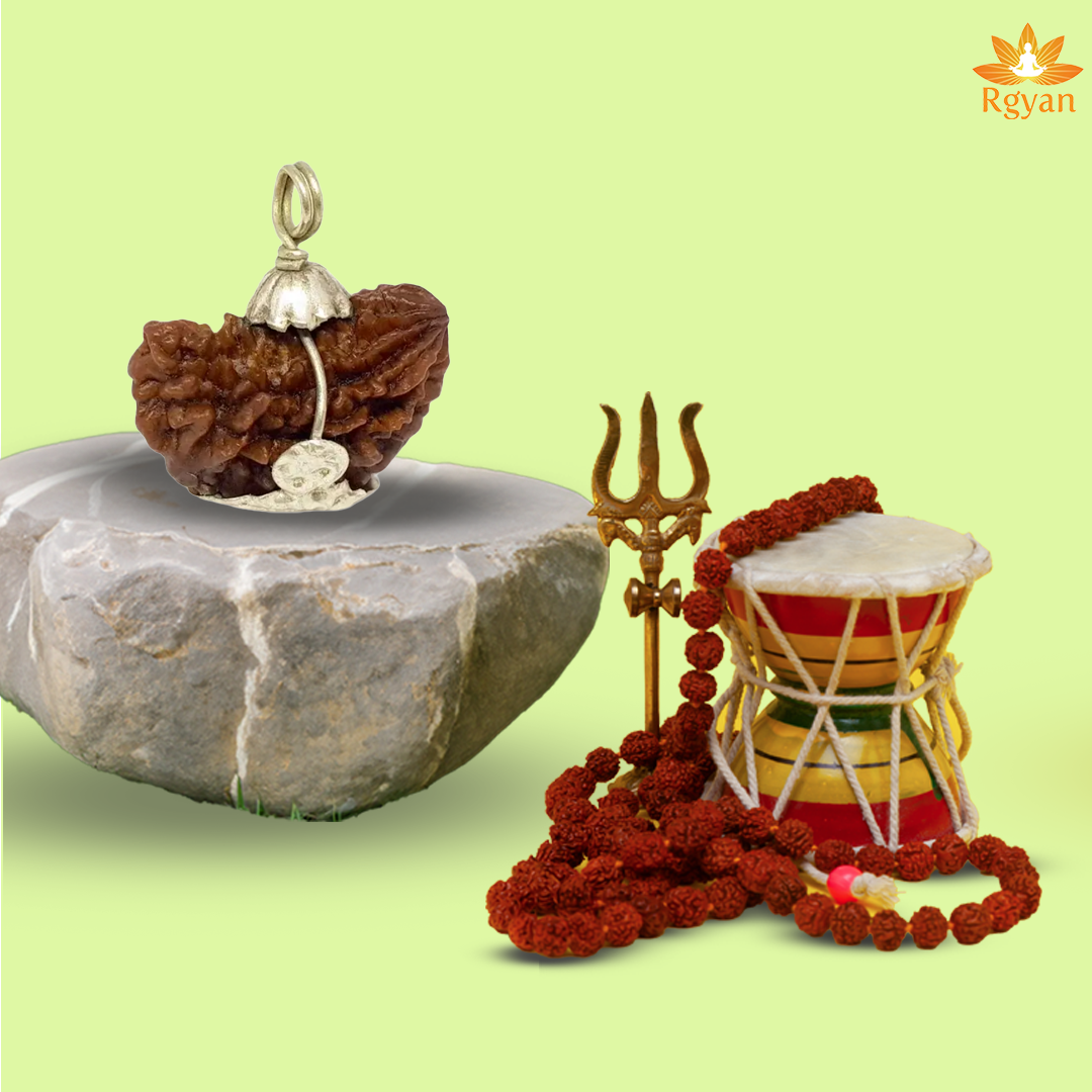 1 Mukhi, 1 Faced Rudraksha – Indian(Kaju Shaped Indian Origin) Silver Capping