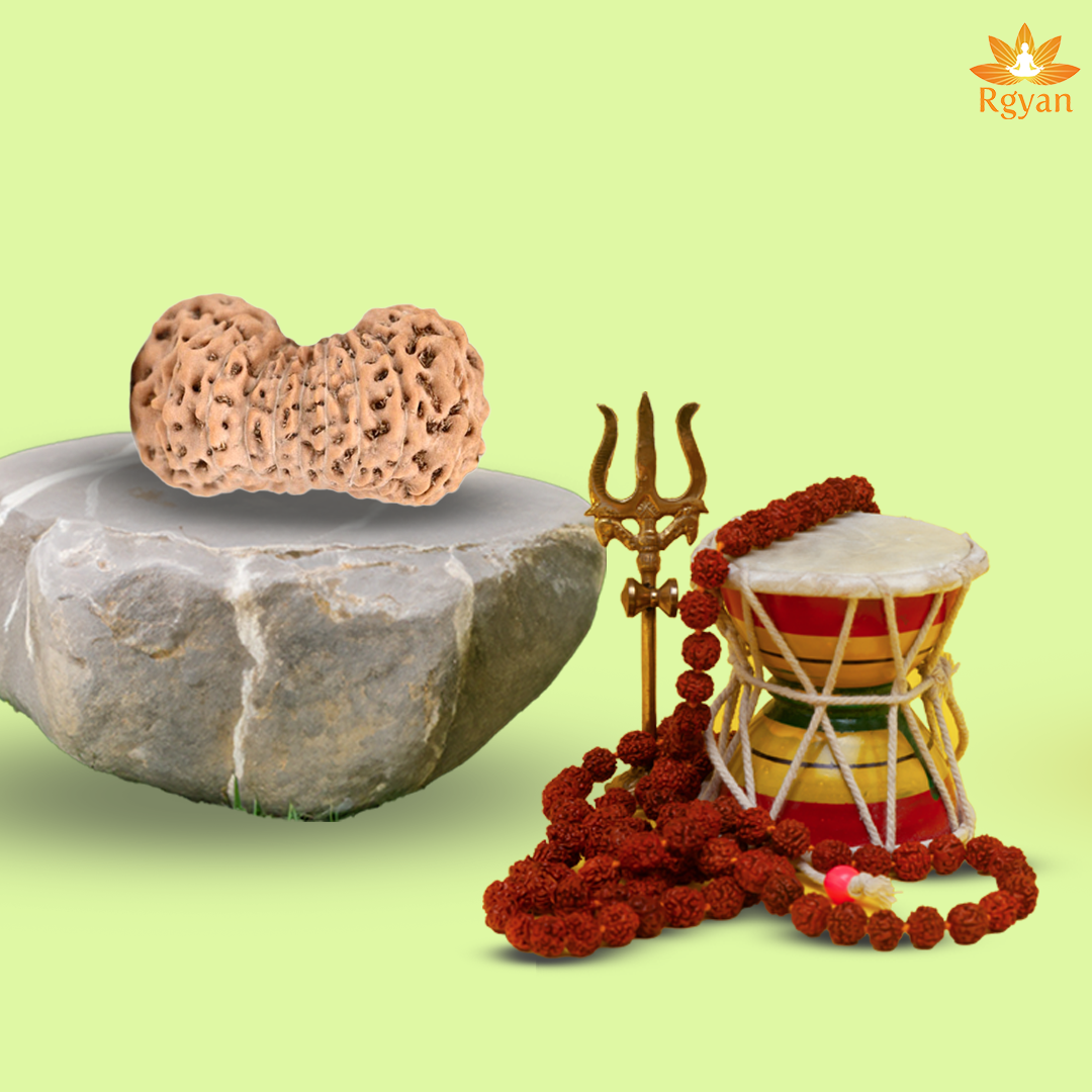 20 Mukhi Rudraksha – Indonesia