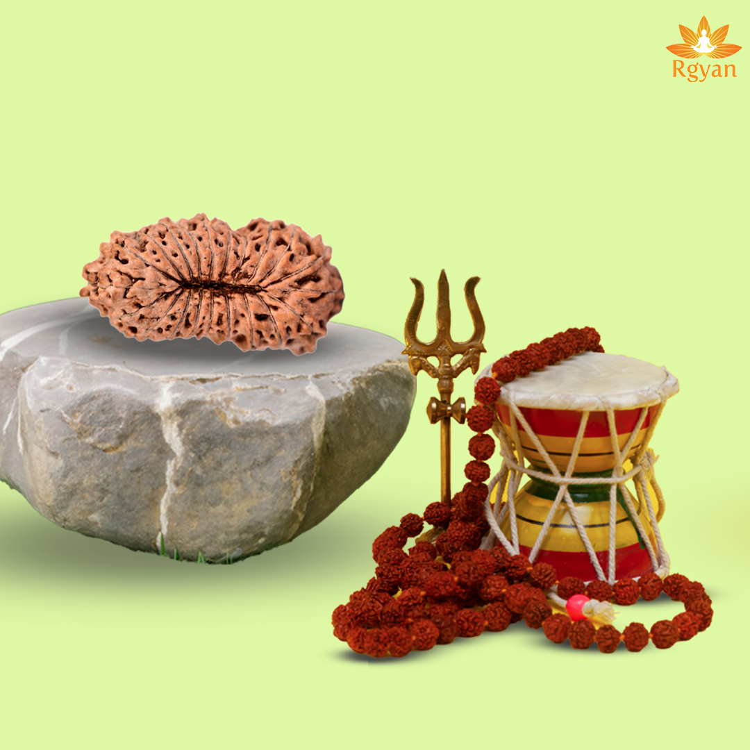 21 Mukhi Rudraksha – Indonesia