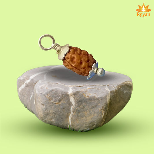 2 Faced Rudraksha – Indonesia 2 Mukhi