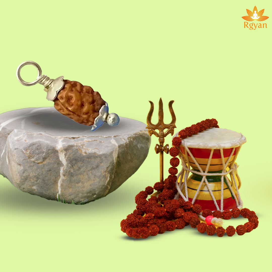 2 Faced Rudraksha – Indonesia 2 Mukhi