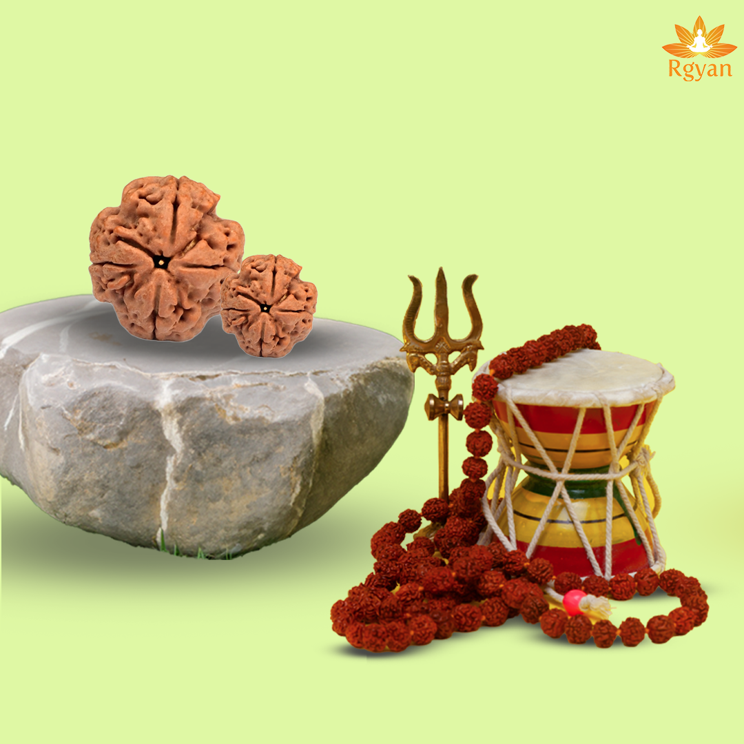 4 Faced Nepali Rudraksha - 4 Mukhi