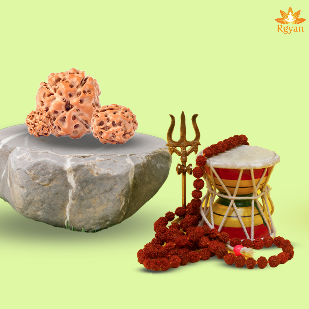 4 Mukhi Rudraksha – Indonesia