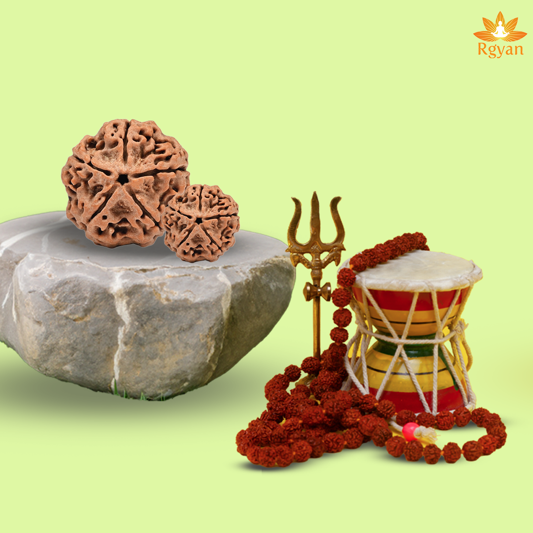 5 Faced Nepali Rudraksha - 5 Mukhi