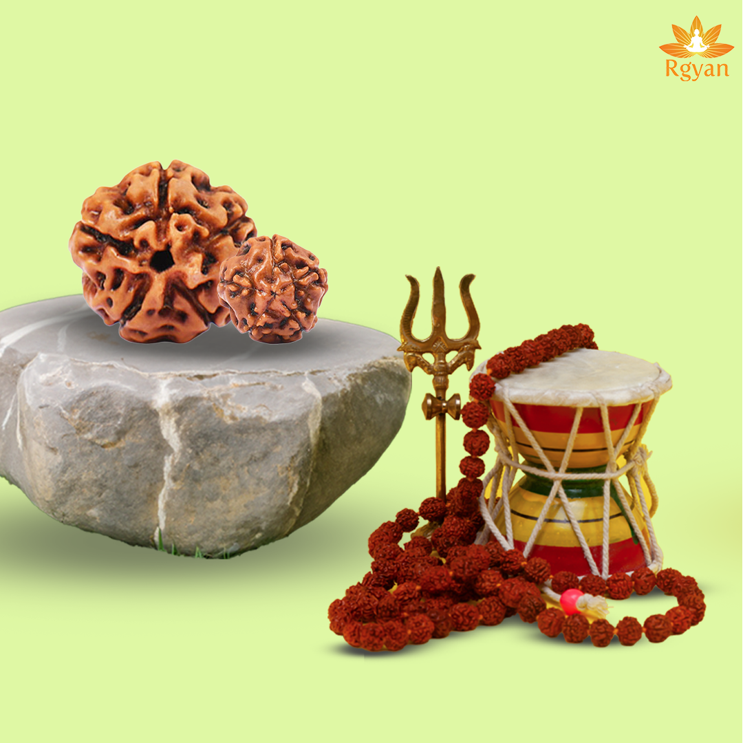 5 Mukhi Rudraksha – Indonesia