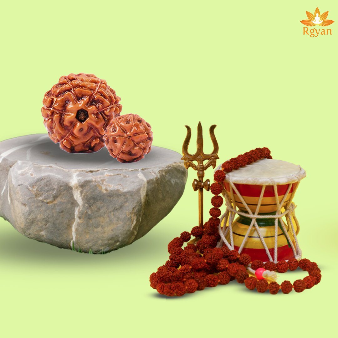 6 Mukhi Rudraksha – Indonesia