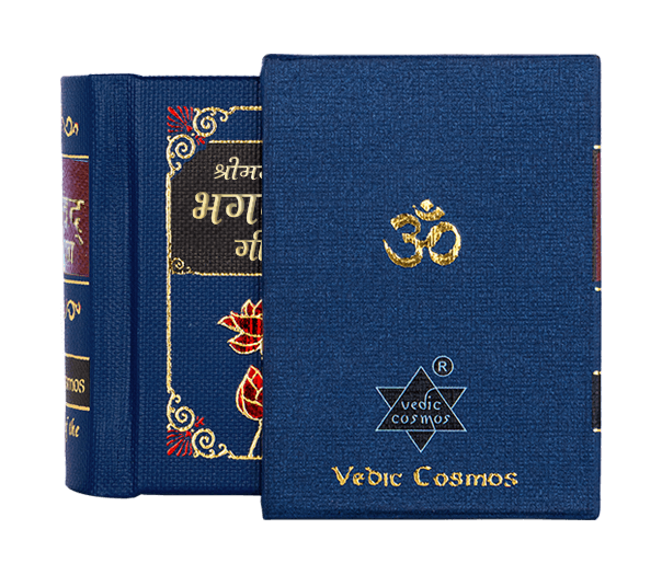 Mini Bhagavad Gita Book A9 Size in Hindi Edition