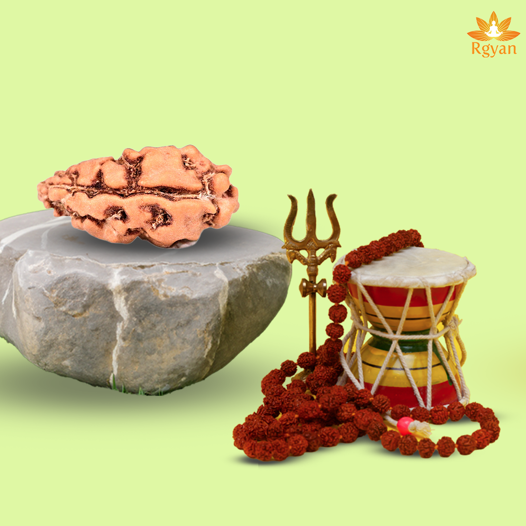 RGYAN 1 Mukhi Rudraksha – Indonesia