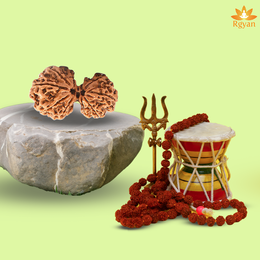 Garbh Gauri Rudraksha - Nepali