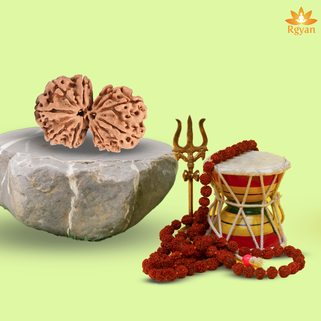 Gauri Shankar Nepali Rudraksha