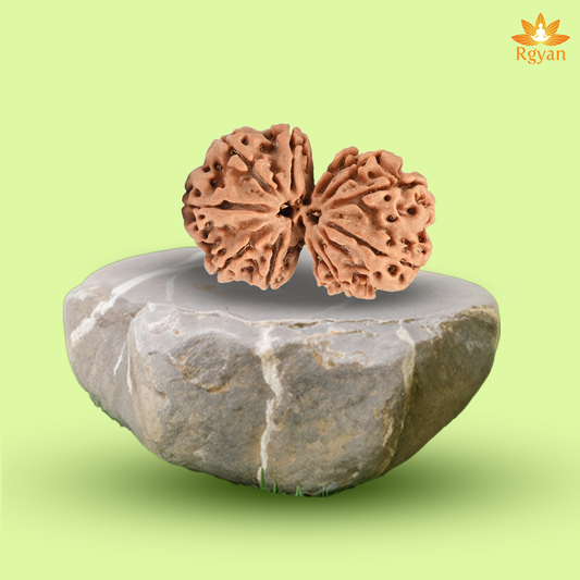 Gauri Shankar Nepali Rudraksha
