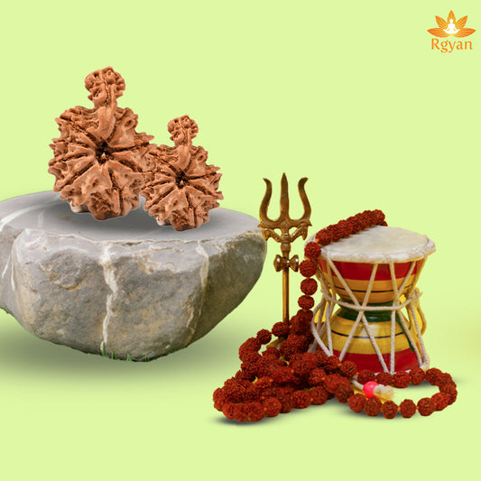 Savar Naag Rudraksha - Nepali