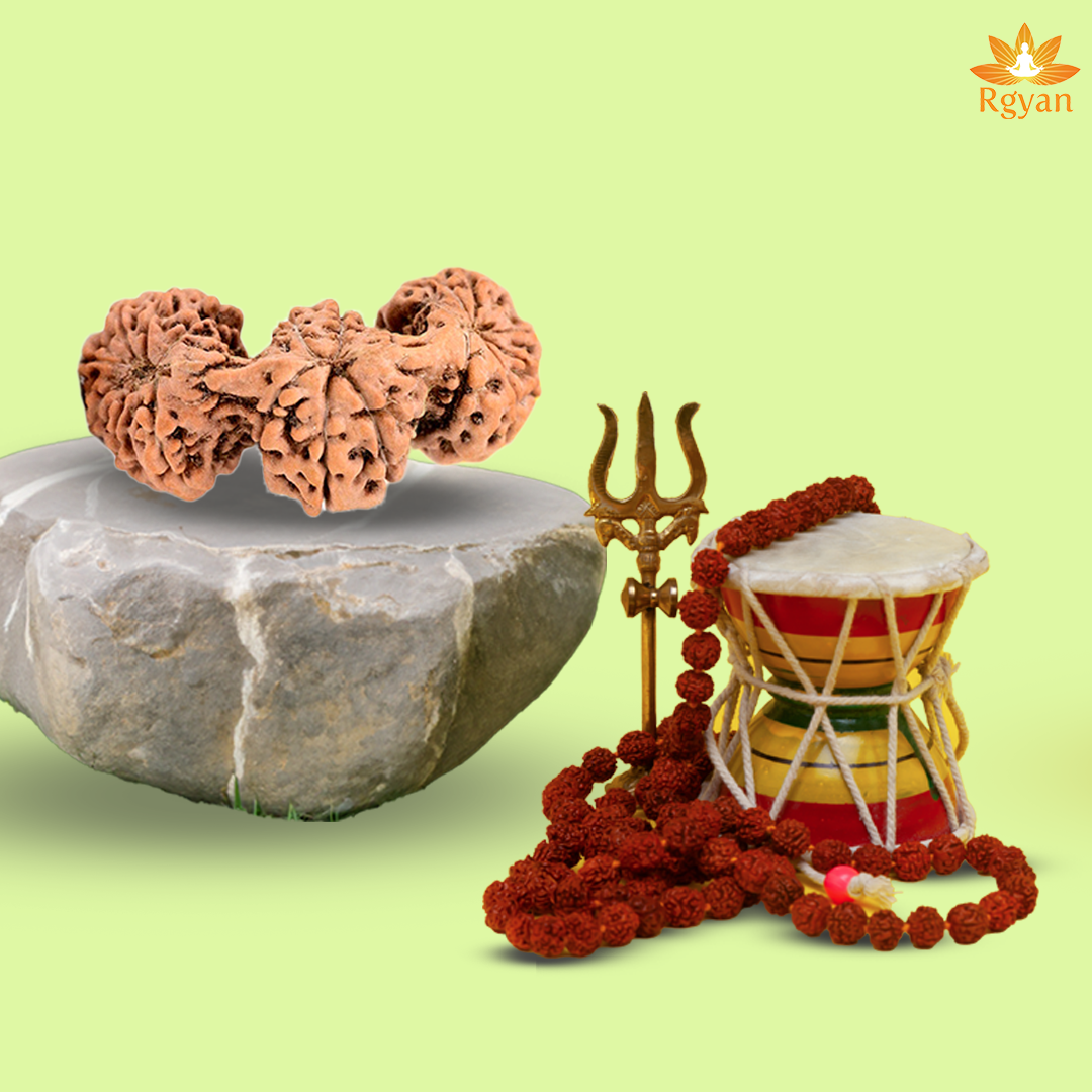 Trijuti Rudraksha - Indonesia
