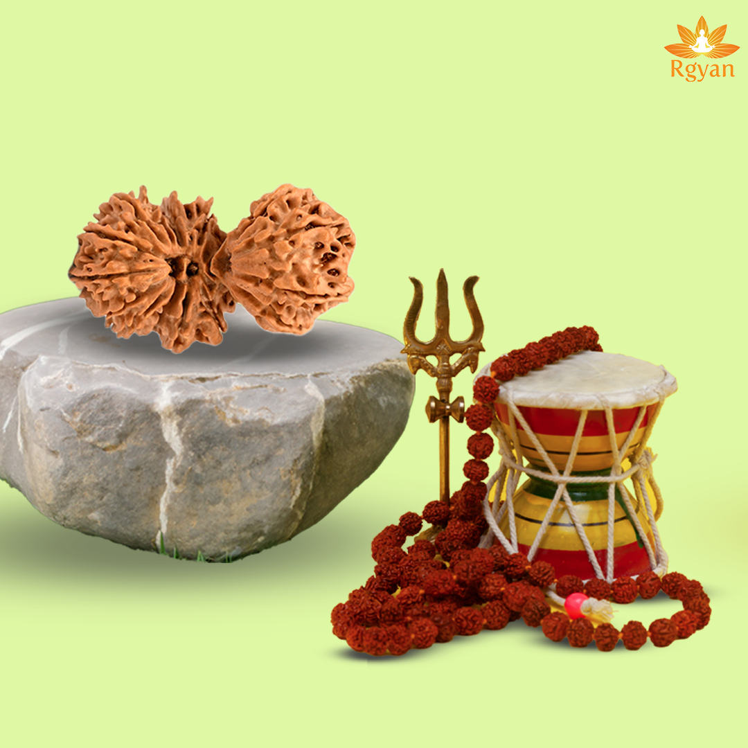 Trijuti Rudraksha - Nepali