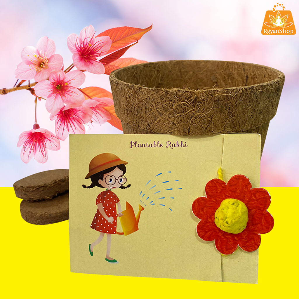 Plantable Seed Rakhi Kit Box