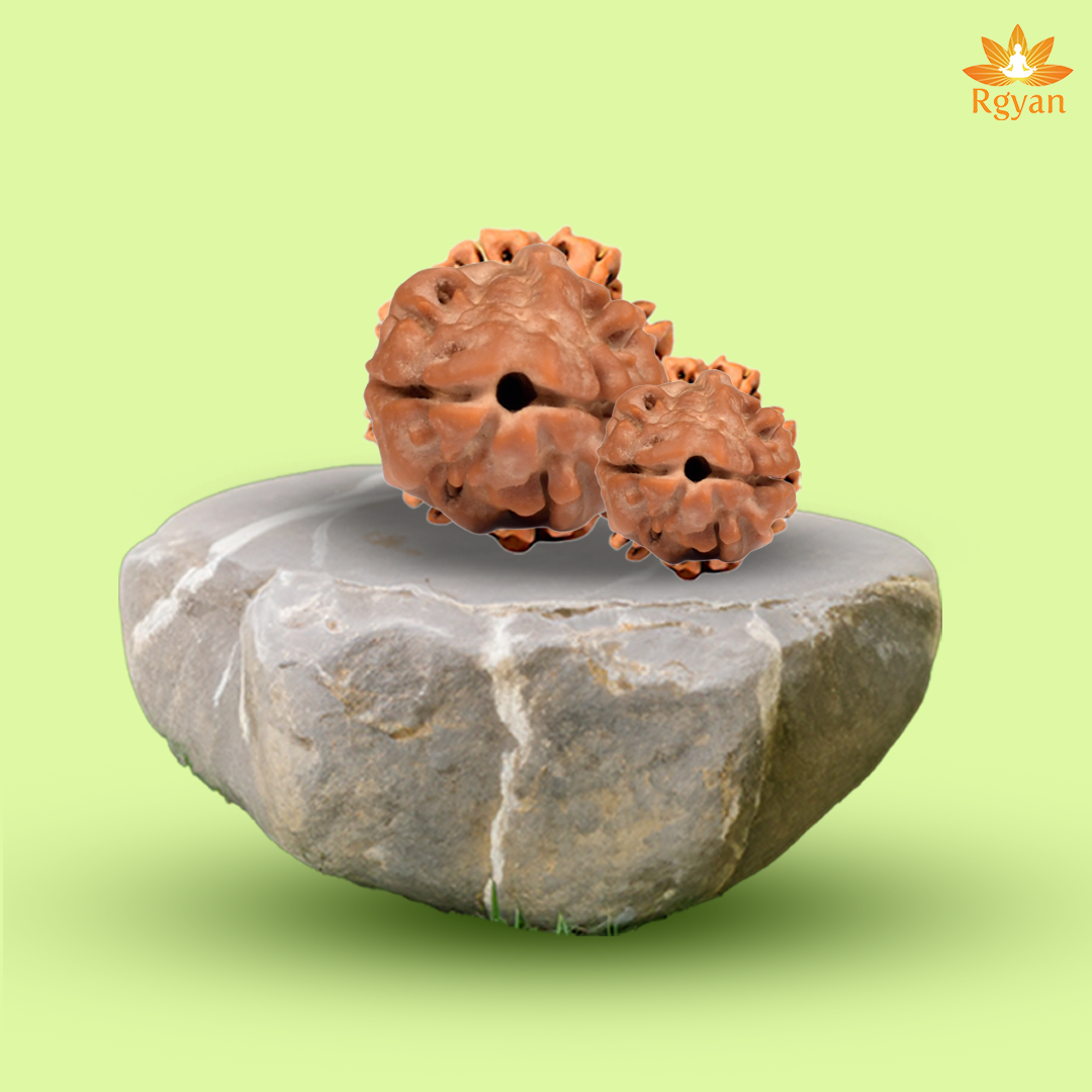 Rudraksha Beads