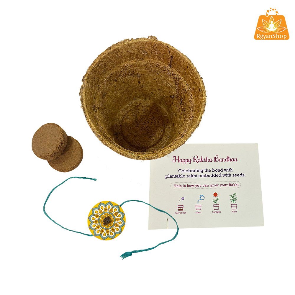 Green Plantable Seed Rakhi Kit Box (Rangoli Design)