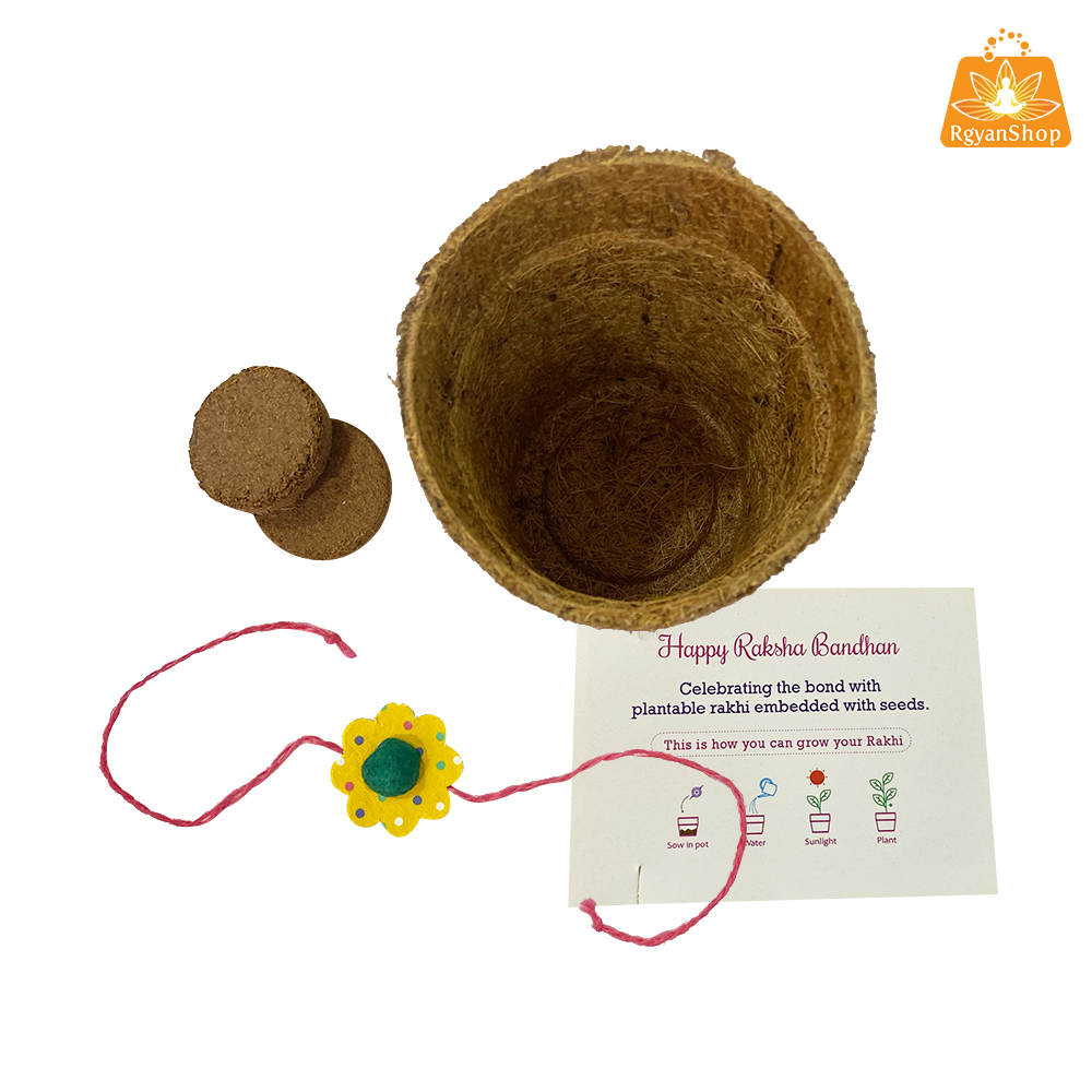 Green Plantable Seed Rakhi Kit Box(Yellow Floral Design)