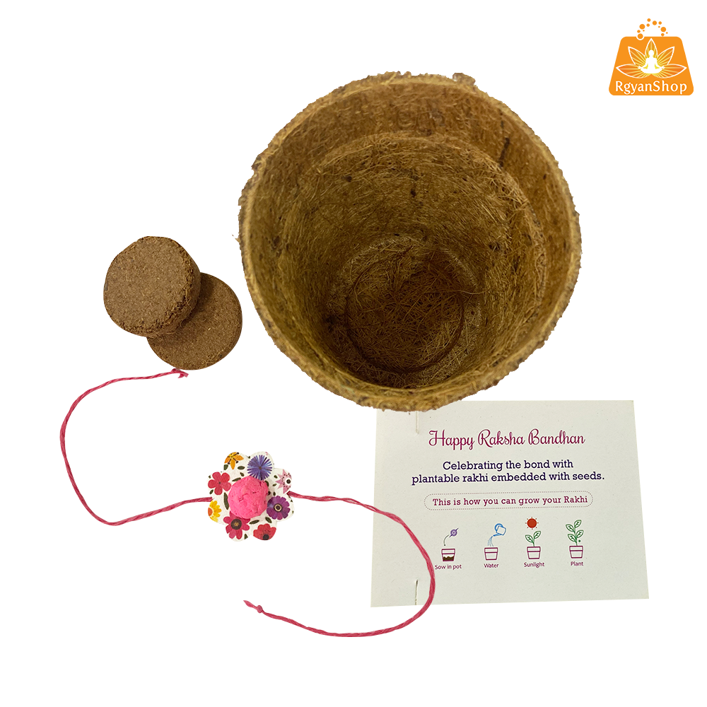 Green Plantable Seed Rakhi Kit Box (Pink Floral Design)