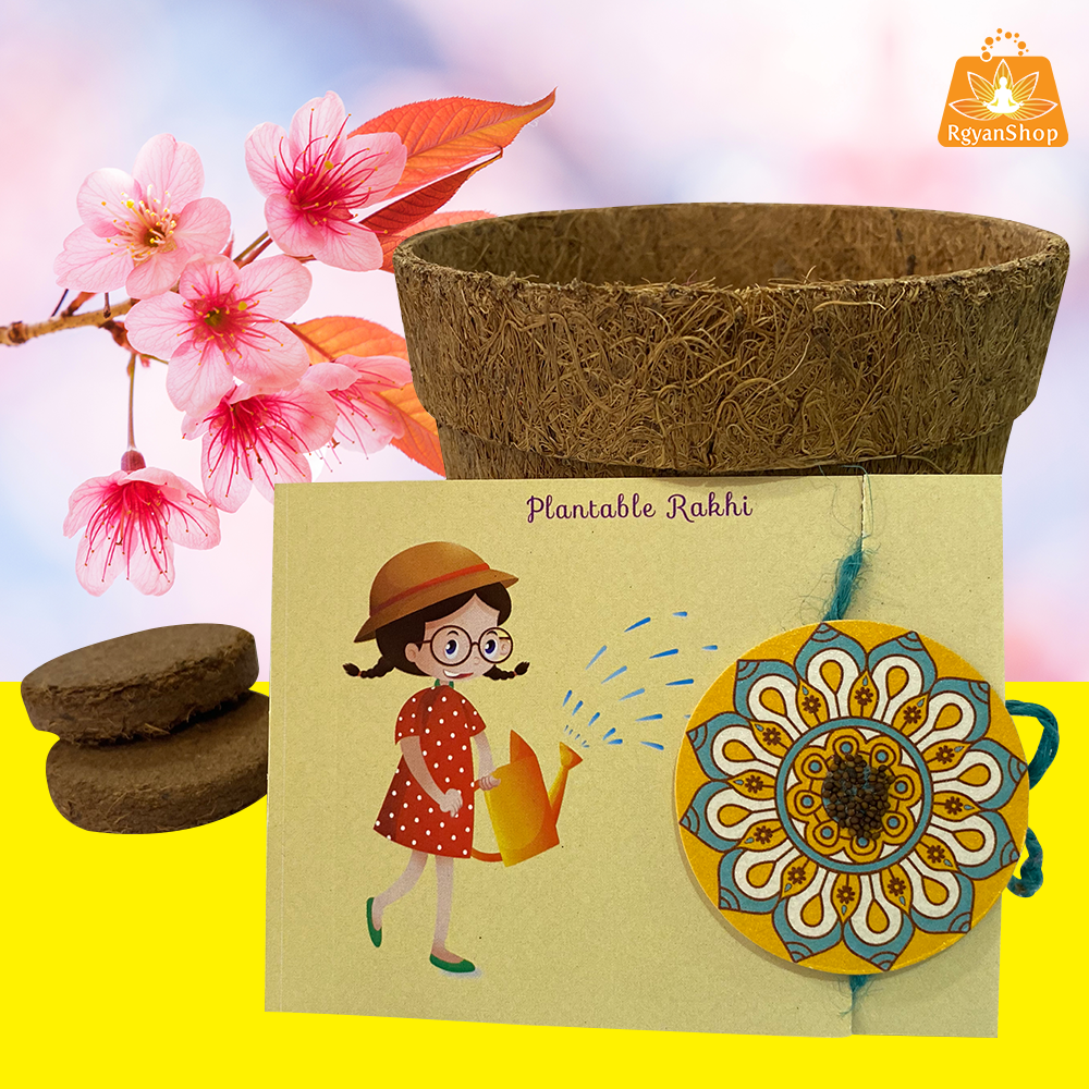 Green Plantable Seed Rakhi Kit Box (Rangoli Design)