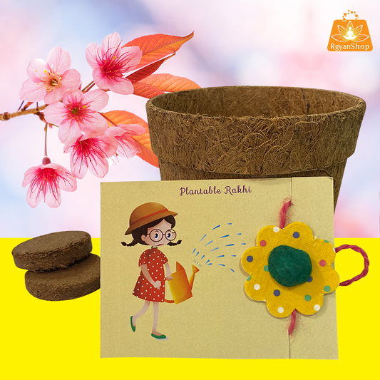 Green Plantable Seed Rakhi Kit Box(Yellow Floral Design)